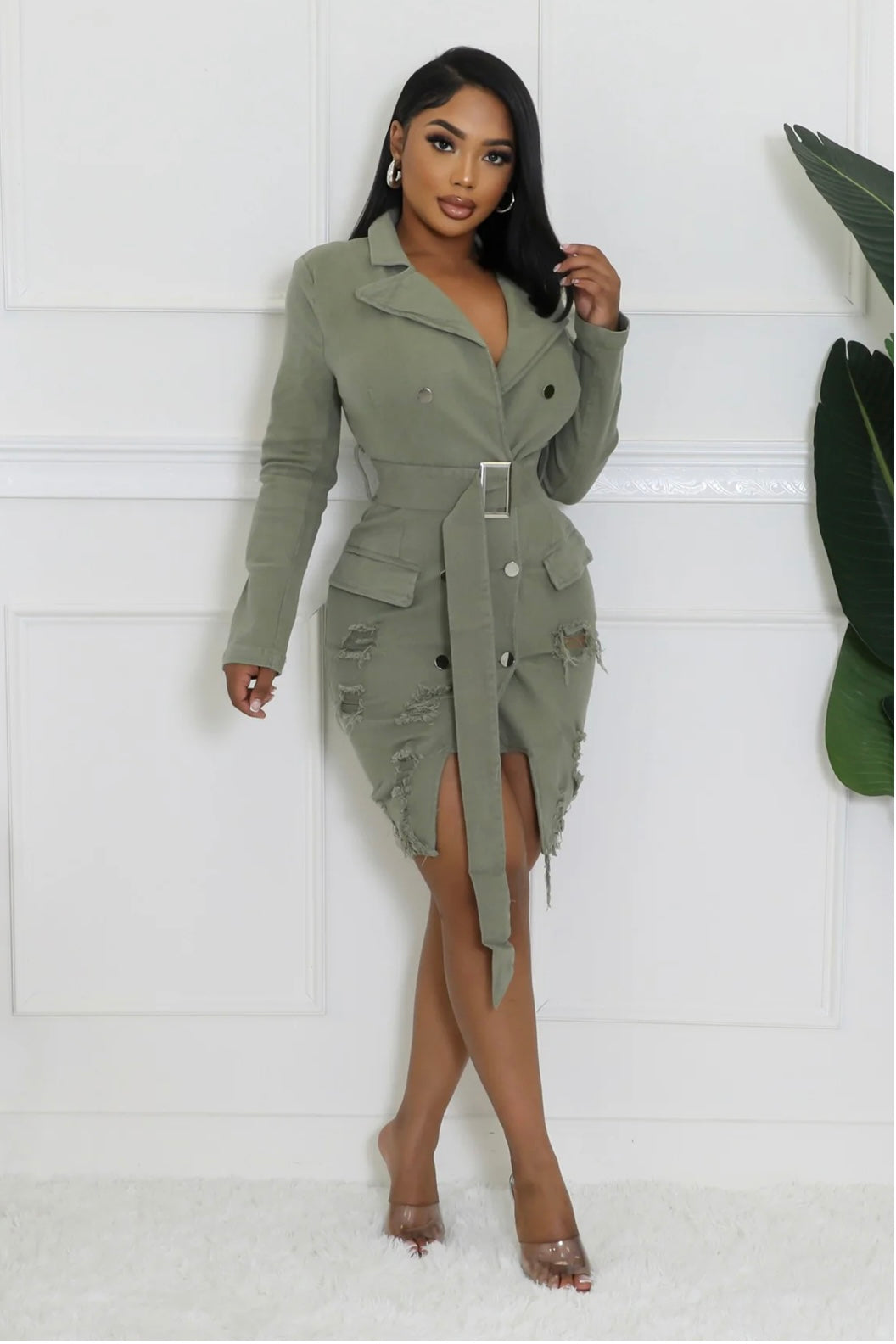 Long Sleeve Belt Dress